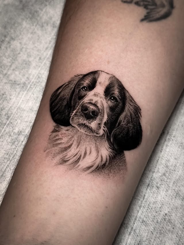 Homenaje a Toby, retrato de mascota